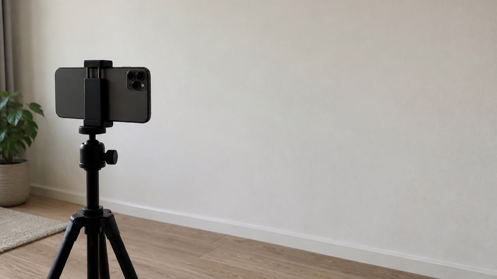 Tripod and neutral wall in a bright room.
