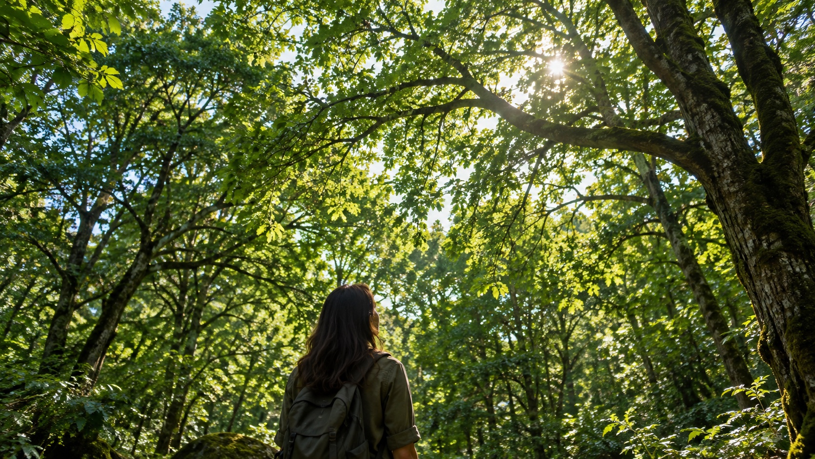 Adult walking beneath trees in a public park.